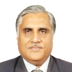 Rajiv Banga portrait